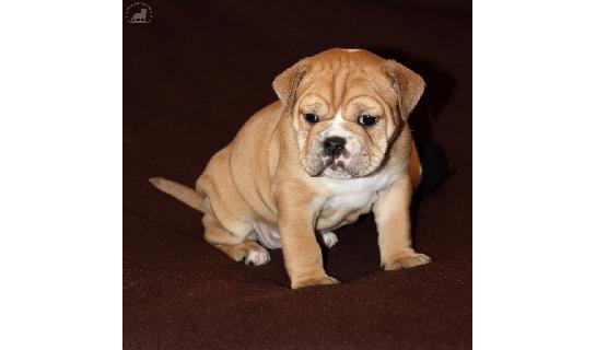 Connie Ella (11.01.2017)